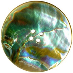 11-1 Iridescent Shell - Abalone (1-5/8")